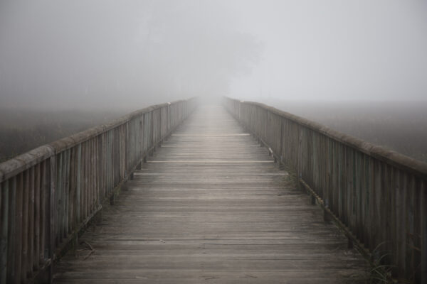 A closeup shot of a bridge on a foggy day