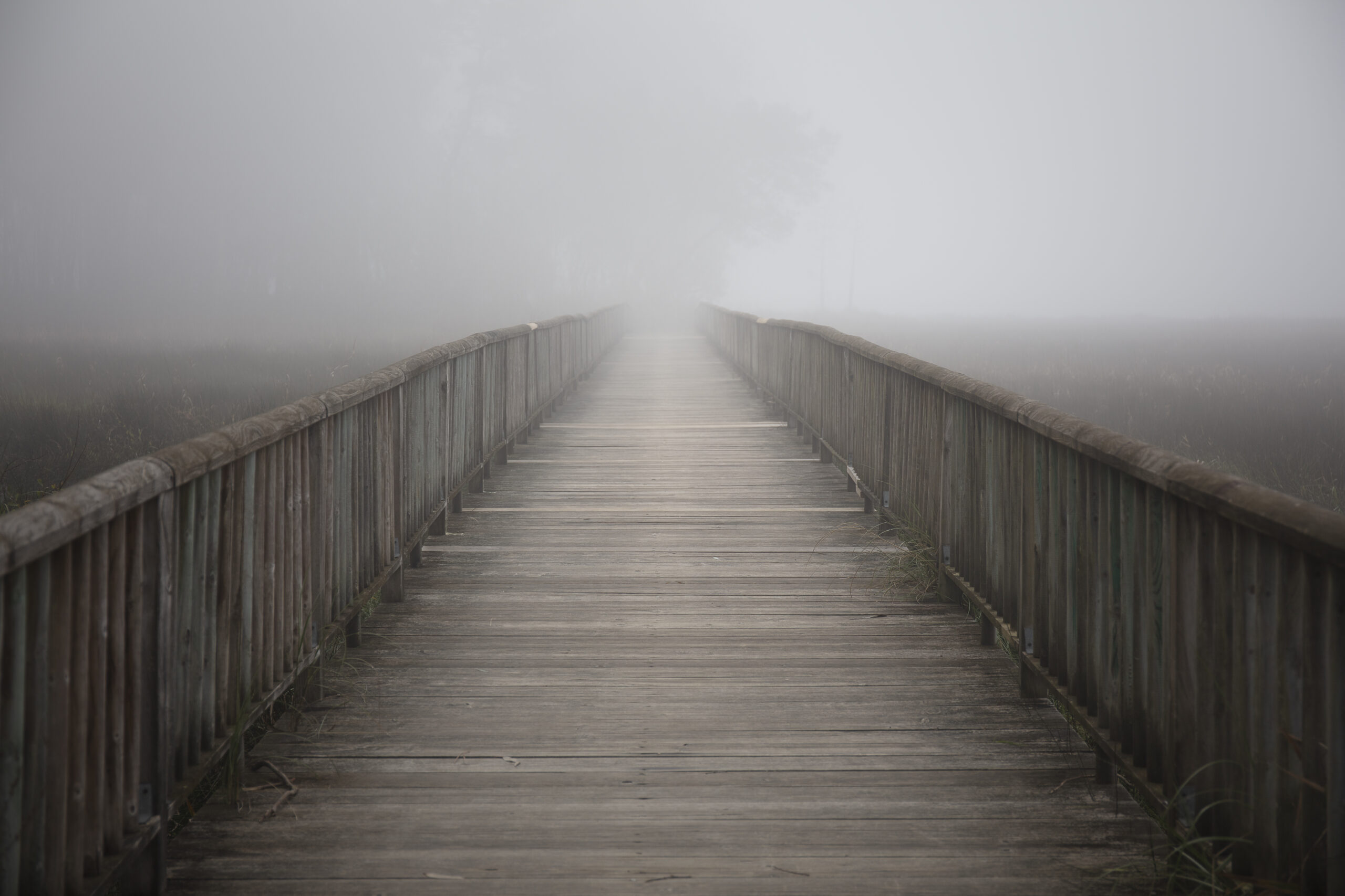 A closeup shot of a bridge on a foggy day
